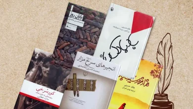 معرفی ماندگارترین رمان های ادبیات افغانستان 1 پنج تا از بهترین رمانهای افغانی چیدهشده روی پسزمینهای خاکیرنگ
