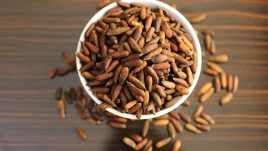 از جلغوزه، طلای سیاه افغانستان، چه میدانید؟ 11 یک کاسه پر از جلغوزه سیاه افغانستان