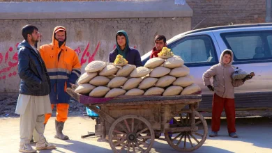 کنگینه انگور؛ روش هوشمندانه نگهداری انگور تازه 8 چند دستفروش با گاری کنگینه انگور