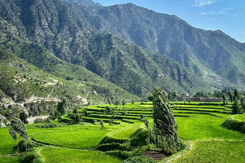 پارک ملی نورستان، طبیعتی بکر در دل کوههای هندوکش 4 دشتی سرسبز در پارک ملی نورستان
